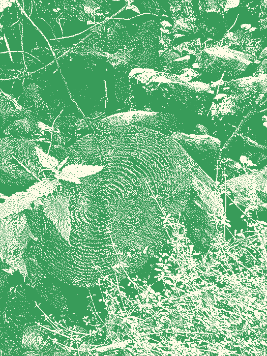 klimaticky aktivismus